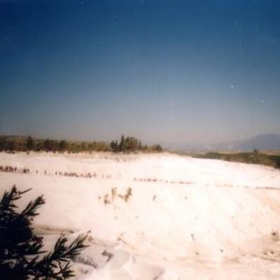 Tur39