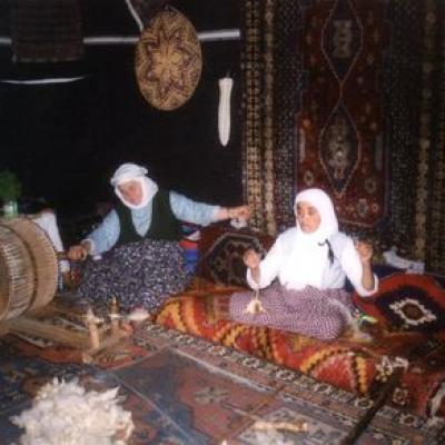 Tur46
